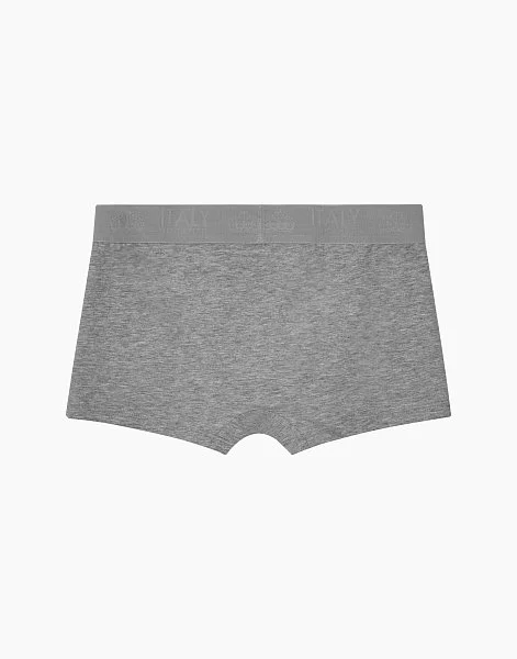 Набор из 2-х боксеров для мальчика 1105 - 5