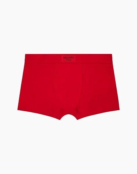 Набор из 2-х боксеров для мальчика 1093 - 4