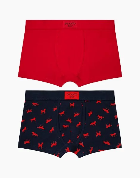 Набор из 2-х боксеров для мальчика 1093 - 1