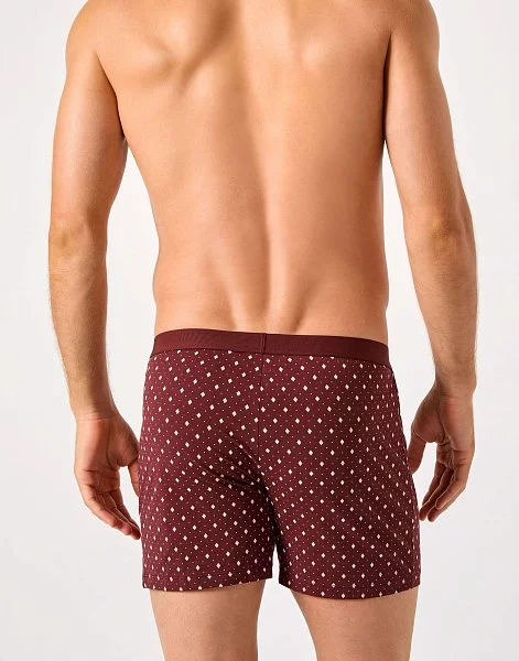 Линия 1095 - 2-3