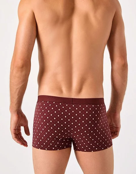 Линия 1095 - 1-3