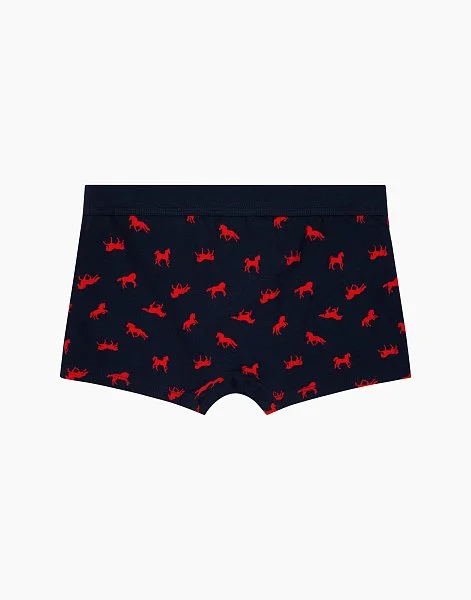 Набор из 2-х боксеров для мальчика 1093 - 3