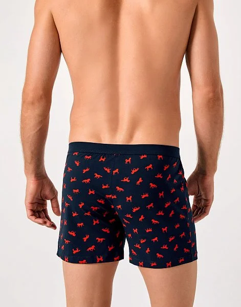 Мужские трусы-боксеры - 3-3