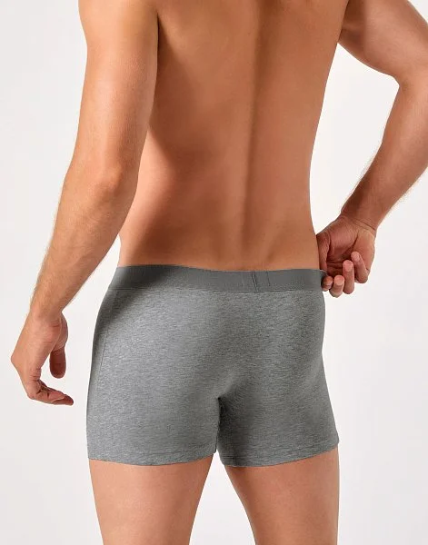 Удлиненные боксеры BU1105 - 4