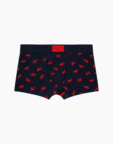 Набор из 2-х боксеров для мальчика 1093 - 2